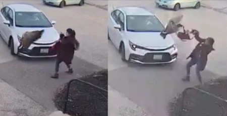 შოკისმომგვრელი კადრები რეკორდული ნახვებით – კადრები განხილვის თემად იქცა